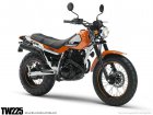 Yamaha TW 225E Anniversery Special Editon